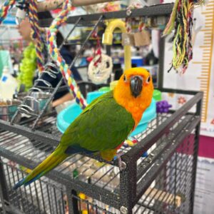 491893198_1115266097312777_5325895458865659616_n