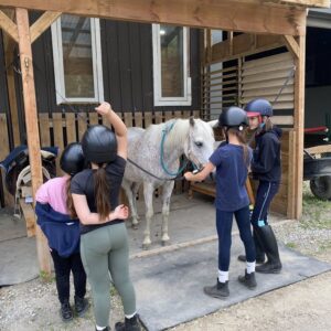 514110168_574921689022114_6456053702061325819_n