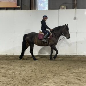 514360362_10228003084998528_7416118320977759609_n